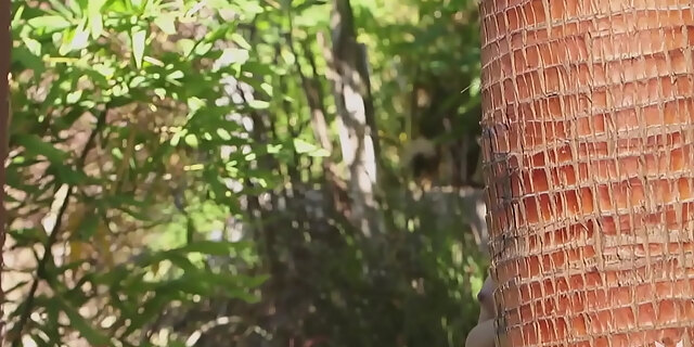 babes,big ass,big tits,boobs,busty,lingerie,milf,model,molten,outdoor,perfect,petite,softcore,solo,striptease