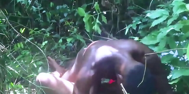 amateur,bbc,big cock,bus,closeup,college,creampie,doggystyle,missionary,orgy,outdoor,pornstar,reality,riding,sex