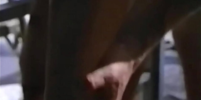 slut